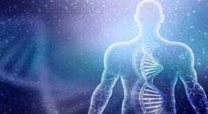 Hibernator Superpowers