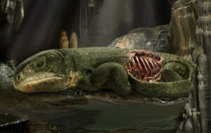 289-million-year-old mummy fossil presents earliest evidence of rib-based breathing