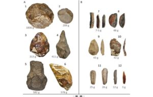 No more giants, no more heavy handaxes: Why early humans downsized their stone tools