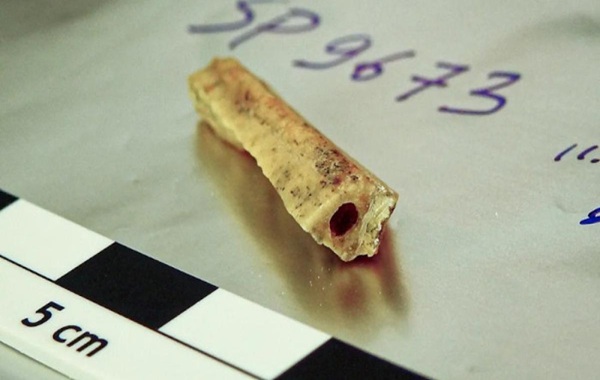 Neanderthal DNA from Denisova Cave Reveals Familial Links Over Millennia