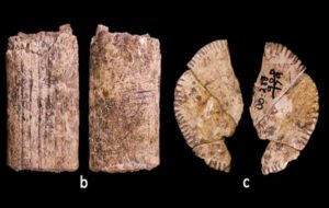Scientists May Have Uncovered The World's Oldest Dice