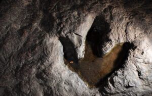 Scientists Discover 132-Million-Year-Old Dinosaur Tracks on South Africa’s Coast