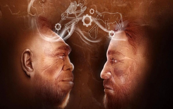 Discovery Shows Neanderthal and Homo sapiens Worked Together