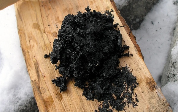 Neanderthals Used Ancient Gloop as Antibacterial Medicine, Study Suggests