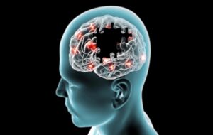 Scientists discover gene that helps the brain repair itself