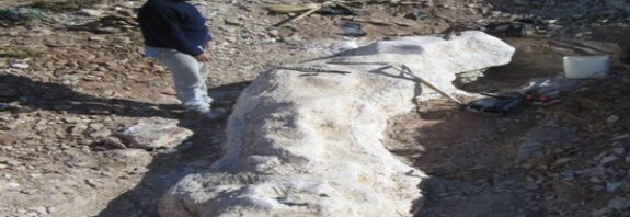 Arjantinde Bulunan 20