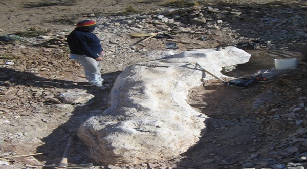 Arjantinde Bulunan 20