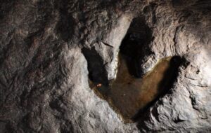 Güney Afrika Kıyılarında 132 Milyon Yıllık Dinozor Ayak İzleri Keşfedildi