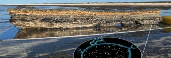 Kayaların İçindeki