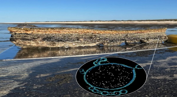 Kayaların İçindeki