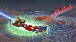 Moleküler Hayaletler