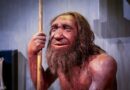 Neandertallerin "Aşk Hikayesi" Göründüğü Gibi Değil