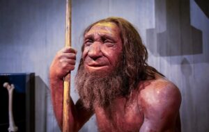 Neandertallerin "Aşk Hikayesi" Göründüğü Gibi Değil