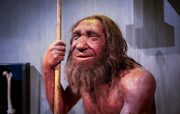 Neandertallerin "Aşk Hikayesi" Göründüğü Gibi Değil