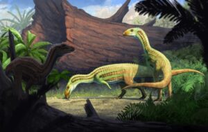 This ancient crocodile relative grew up on four legs then walked on two