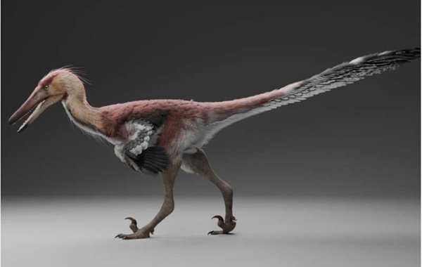 Heron-like, fish-eating dinosaur from 70 million years ago discovered in Argentina