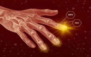 Humans May Have Hidden Regenerative Powers, New Study Suggests