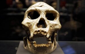 100000-Year-Old Neanderthal Fossils in Poland Reveal Unexpected Genetic Connections