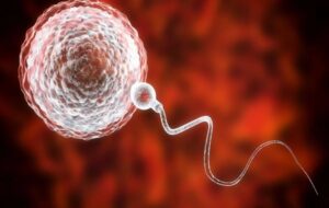 World First Transplant: Man Regains Viable Sperm From His Childhood Testicle Tissue