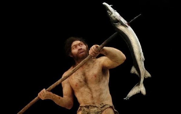 Fosilleşmiş Protein Eski Denisovanların ve Homo Erectus'un Melezleştiğini Gösteriyor