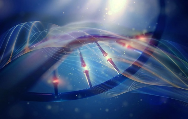 Yale Discovery Overturns Long-Held “Evolutionary Dead End” Theory