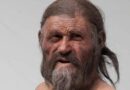 5300 Yıl Önce Ölen Buz Adam Ötzi'nin Mikrobiyomu Hâlâ Yaşıyor