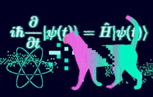 Fizikçiler Schrödinger'in Kedisinin Tamamen Yeni Bir Türünü Yarattılar