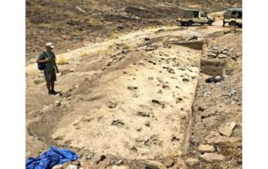 Fossil footprints reveal body size and group dynamics of 1.4-million-year-old human relative