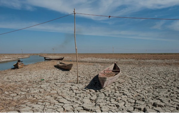 Kıyametin Provası