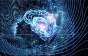 Brain Waves Once Dismissed As Noise May Help Build Our Reality